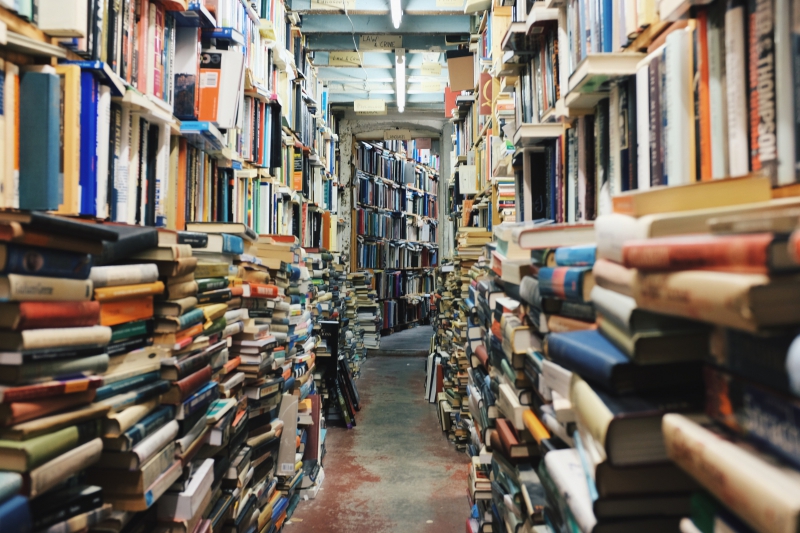 librairie-ST ANTONIN DU VAR-min_books-768426